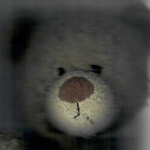 Meet your Posher, {julia m}